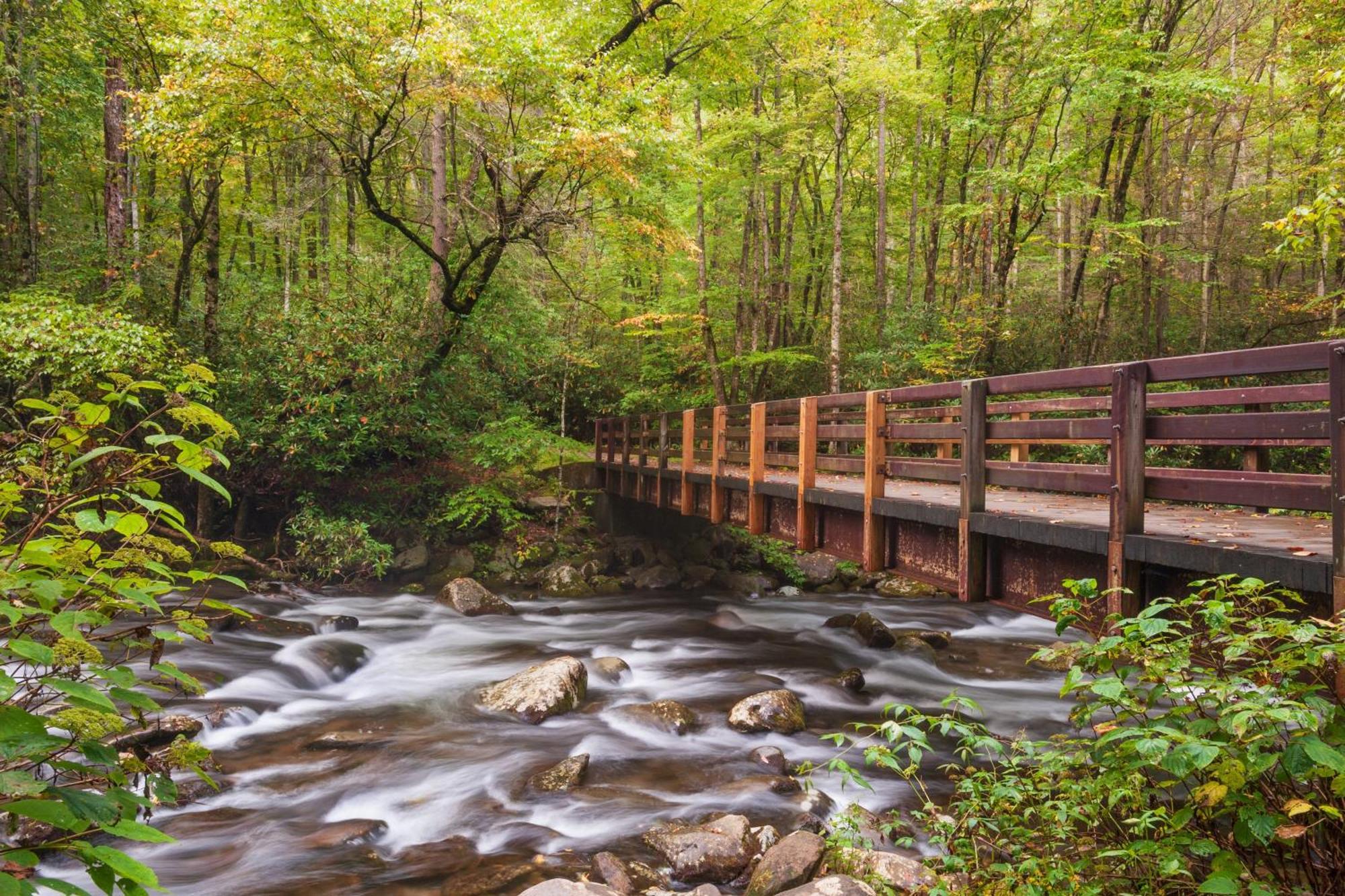 Forever Yours, Hot Tub, 1089 Of Free Attraction Tickets For Each Paid Day, Dollywood And More Pigeon Forge Esterno foto